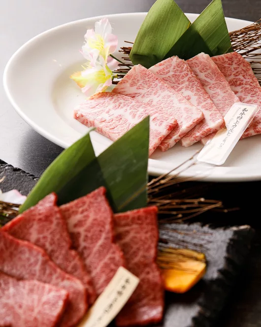 Premium All-You-Can-Eat Course